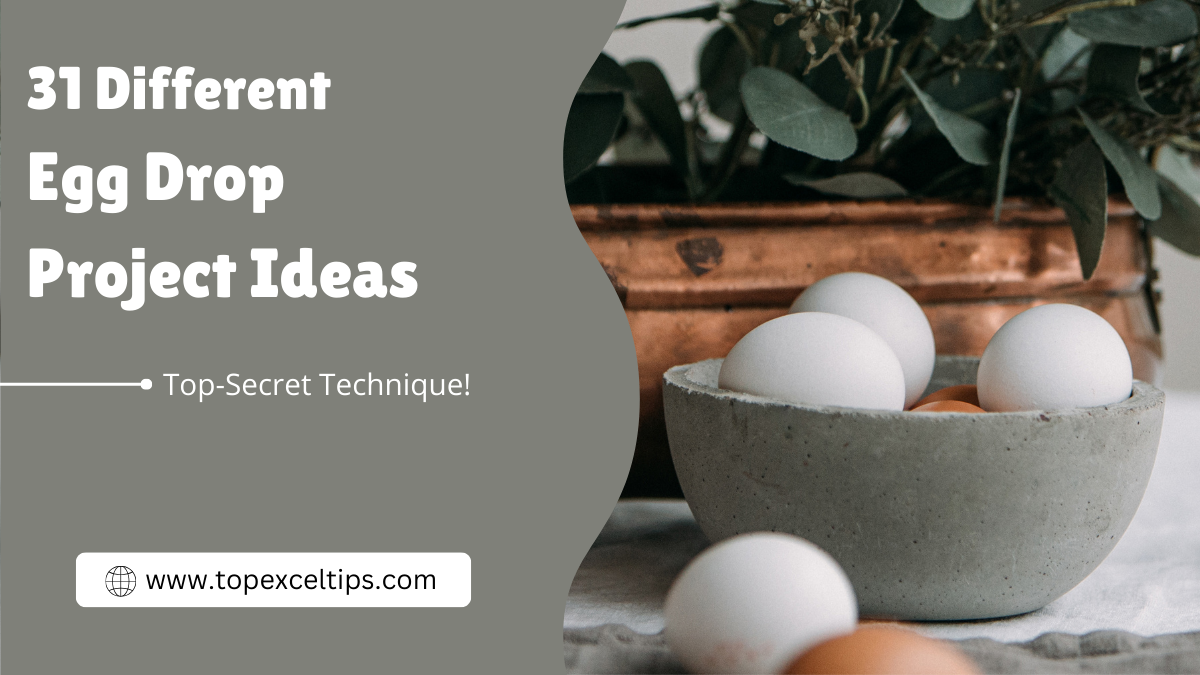 Egg Drop Project Ideas