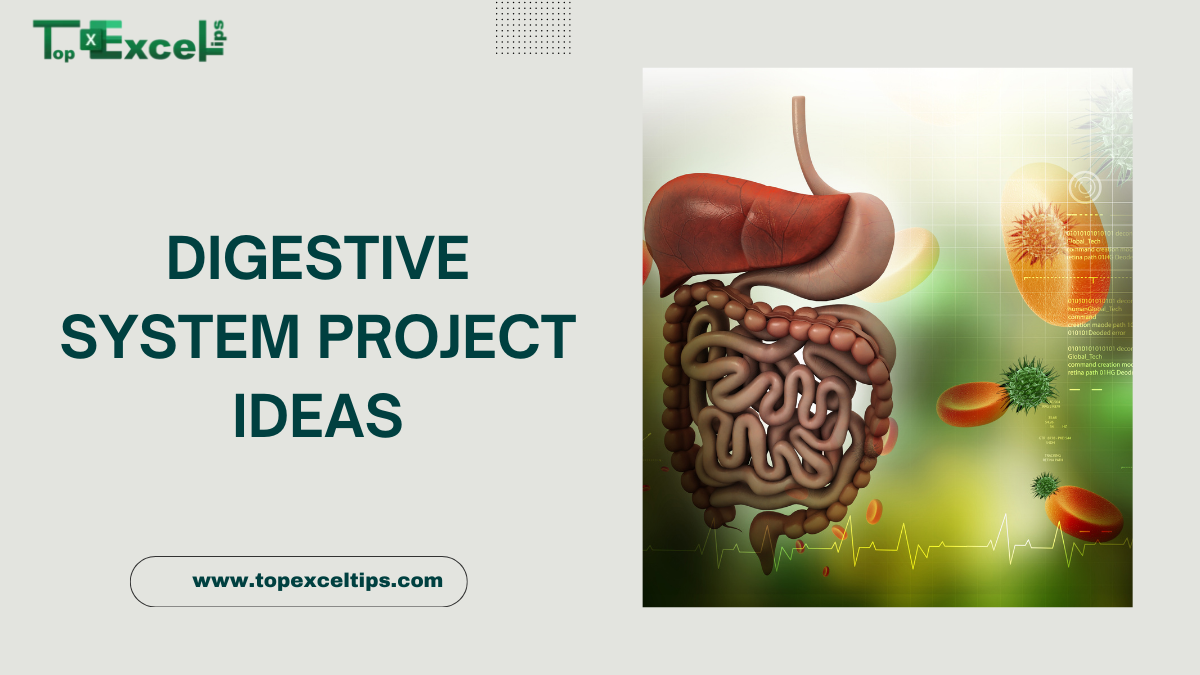 digestive system project ideas