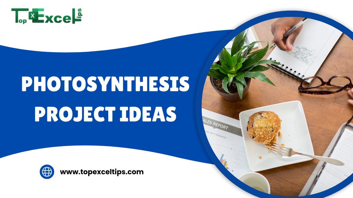 photosynthesis project ideas