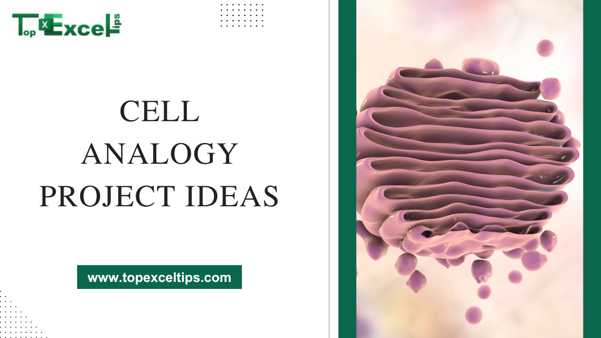 cell analogy project ideas