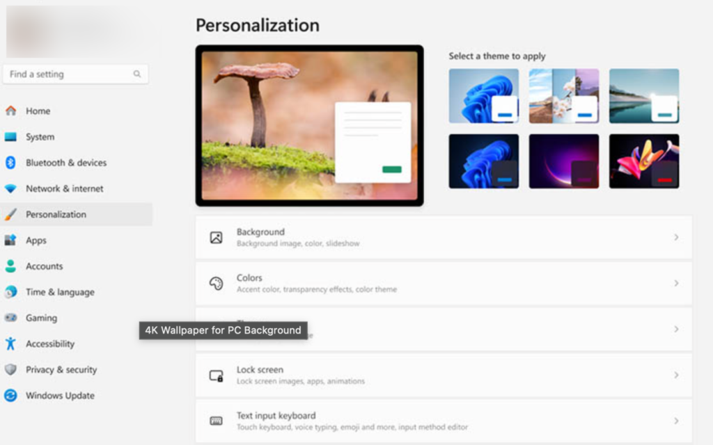 Step-by-Step Guide 3